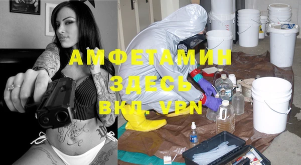 СК Алексин