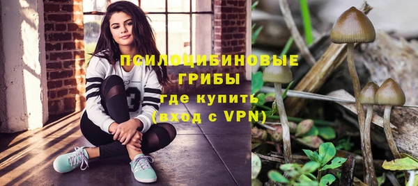 мяу мяу мука Аркадак